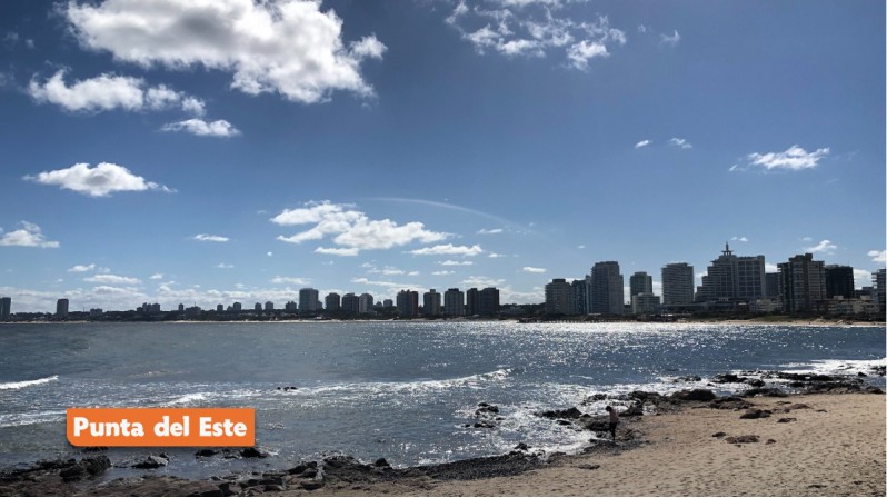 PuntadelEste-798x448